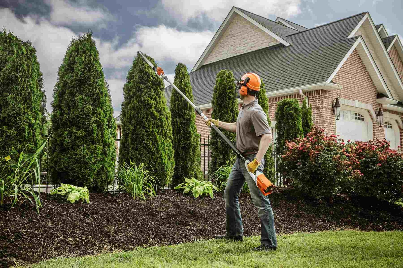 Preventive Tree Care