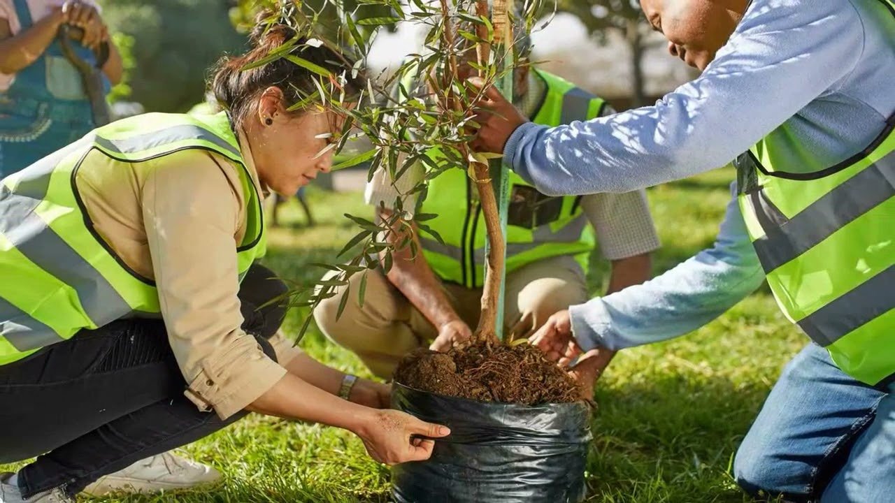 Preventive Tree Care